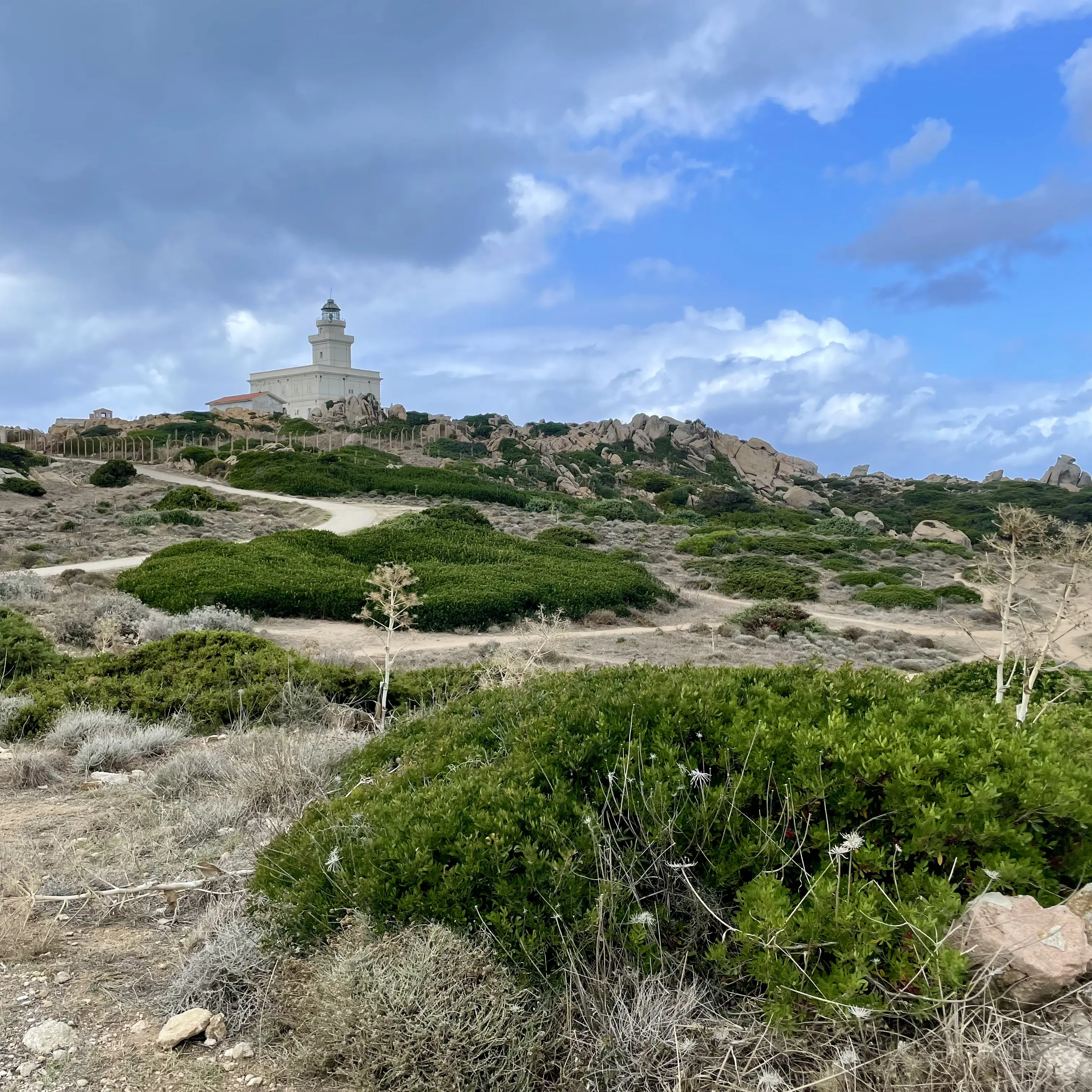 Leuchtturm von Capo Testa